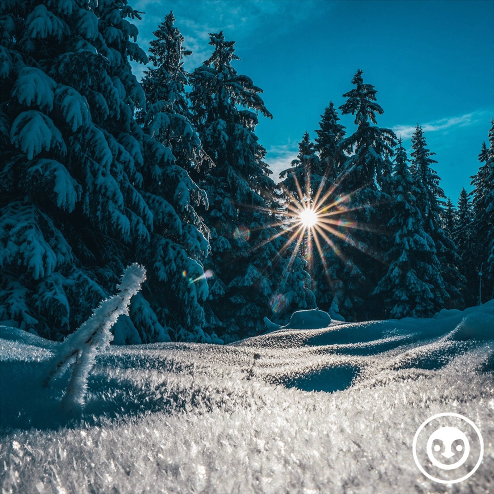 deep story nr. 227 | frozen echoes | by Robert Romain episode artwork